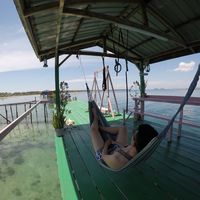 Howard Huang's Photo