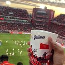 MATCH DAY TICKETS INDEPENDIENTE's picture