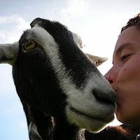 Tara Benedict的照片