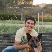 Rui Felizardo的照片