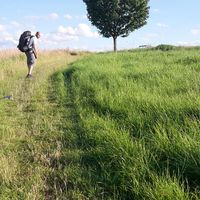 Anton Vlasov的照片