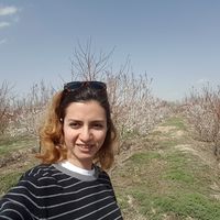 Negar Rashvand的照片
