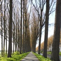 jan callewaert的照片