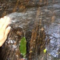 Mafalda Diniz的照片