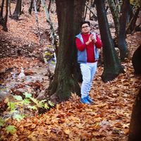 Alireza Heidari的照片