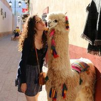 Patty Mejia的照片