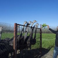 Maziar Bisheban's Photo