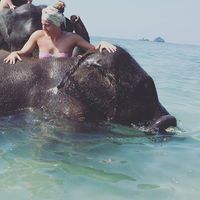 Fotos von Eliise Mihhailov