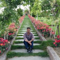 hamid mohammadi的照片