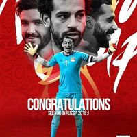 Mahmoud Tammam's Photo