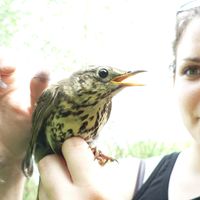 Déborha Bergelin's Photo