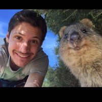 GUIDO FUMAGALLI的照片