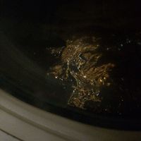 Dayani gomez的照片