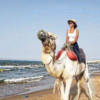 Eliana Salvatierra的照片