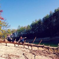 Léonie Williamson的照片