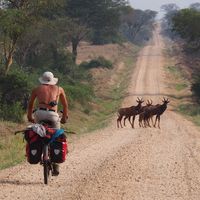 Fotos de César Martel