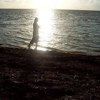 Fotos von Stephanie Johnson