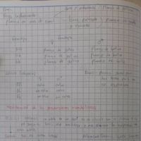 Fotos de Epife Oco Cara