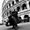 Nesren Mohamed's Photo