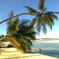 Carlos Eduardo Rodrigues's Photo