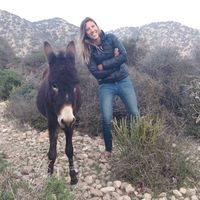 Zdjęcia użytkownika Silke Laethem