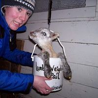 Kristin McGregor的照片