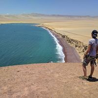 Godert Ponsen的照片