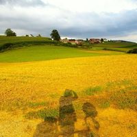 Tomislav Camic's Photo