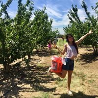 Fotos von Mildmoh Gelate