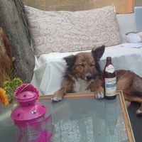 Aragon Krüger的照片