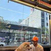 Michael Sampaga's Photo