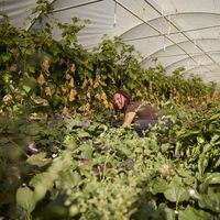 sarah le goff的照片