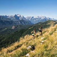 Fariz Batawi's Photo