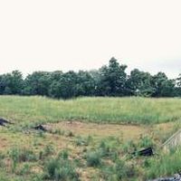 Thibault Trubert's Photo