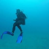 Alejandro Villegas's Photo