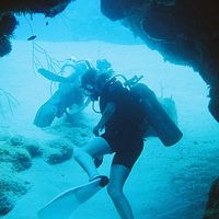 Kayleigh Pollert's Photo