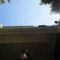 Damiano Gentile's Photo