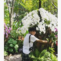 Akita Shotaro's Photo