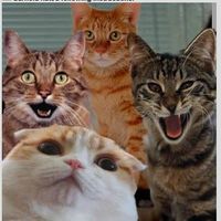 Harry Epstein's Photo