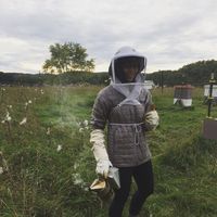 Photos de Hanover Vale