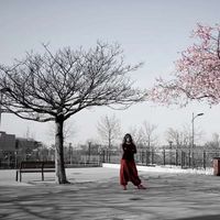 Stephanie Pornin's Photo