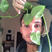 Pedro Henrique的照片