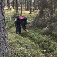 Jonas Possner的照片