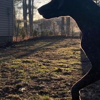 Gavin Giordano's Photo