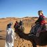 excursion around Morocco的照片