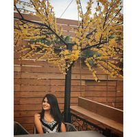 ashwin tomar的照片