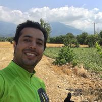 mehrshad amir's Photo