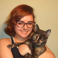 Sam Andreatta的照片