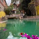 CS PLAN (Jardín Botánico y Piscina Oculta) ⛲🌳🌺🦋's picture