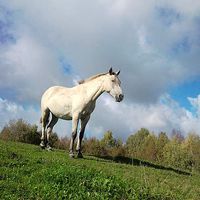 Marcelina Sobocińska的照片